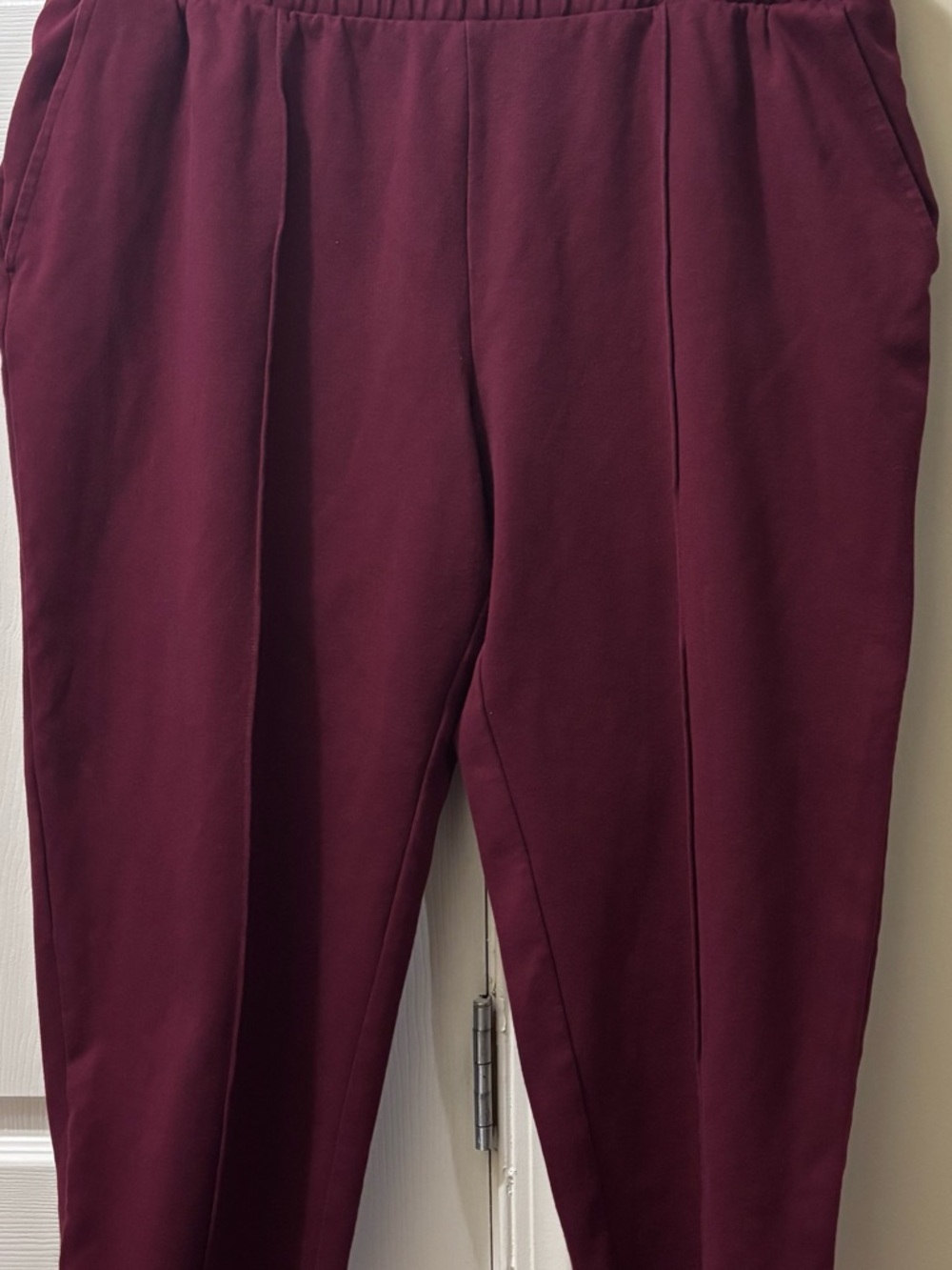 A New Day  Burgundy Women Pants Size  2xl high-rise elastic waistband Tape Ankle